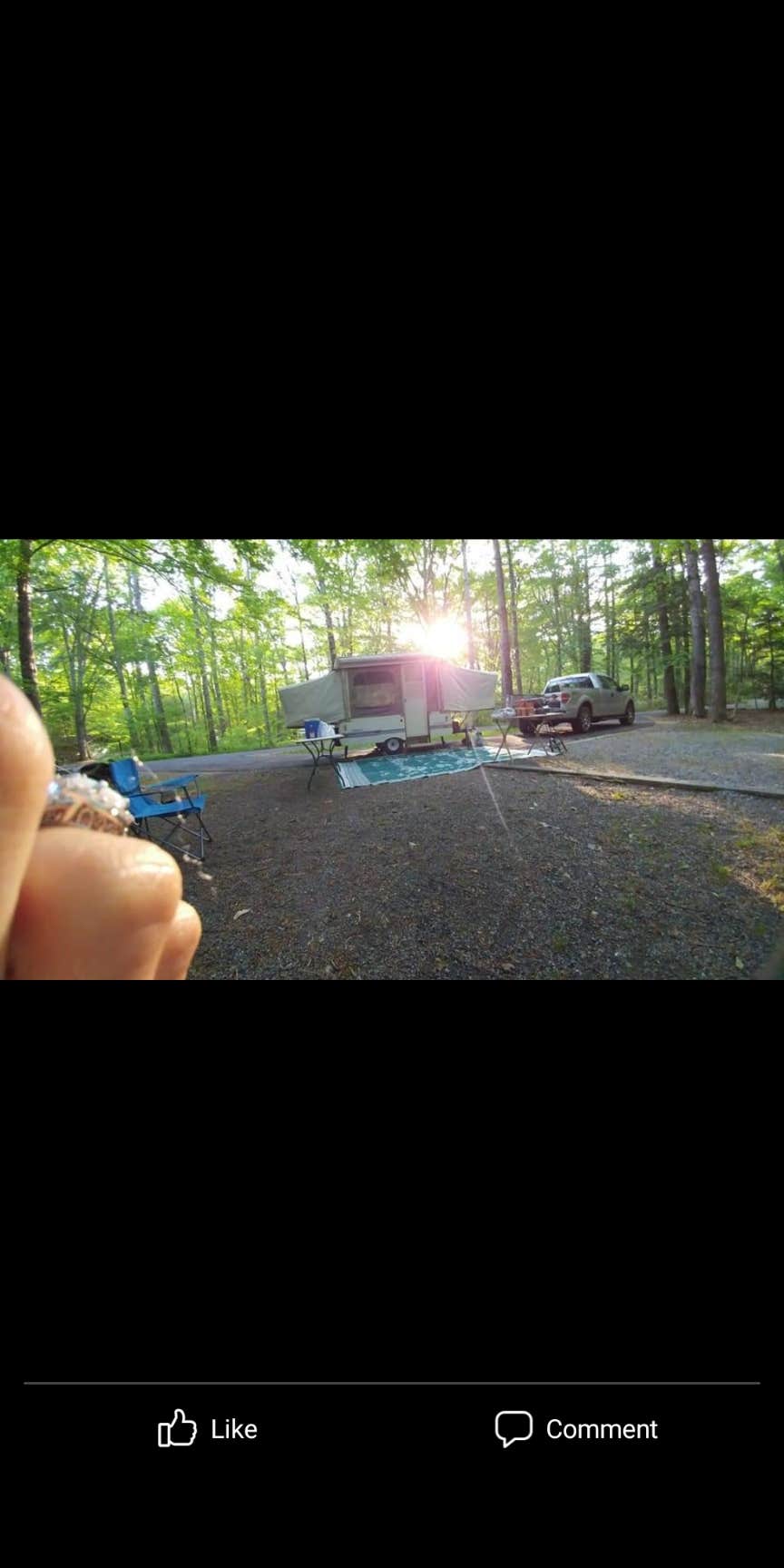 Charli R.'s photo at Davidson River Campground near Horse Shoe, NC
