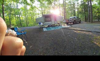 Charli R.'s photo at Davidson River Campground near Horse Shoe, NC