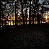 Review photo of North Bend Park by Donna D., November 21, 2021