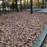 Review photo of North Bend Park by Donna D., November 21, 2021