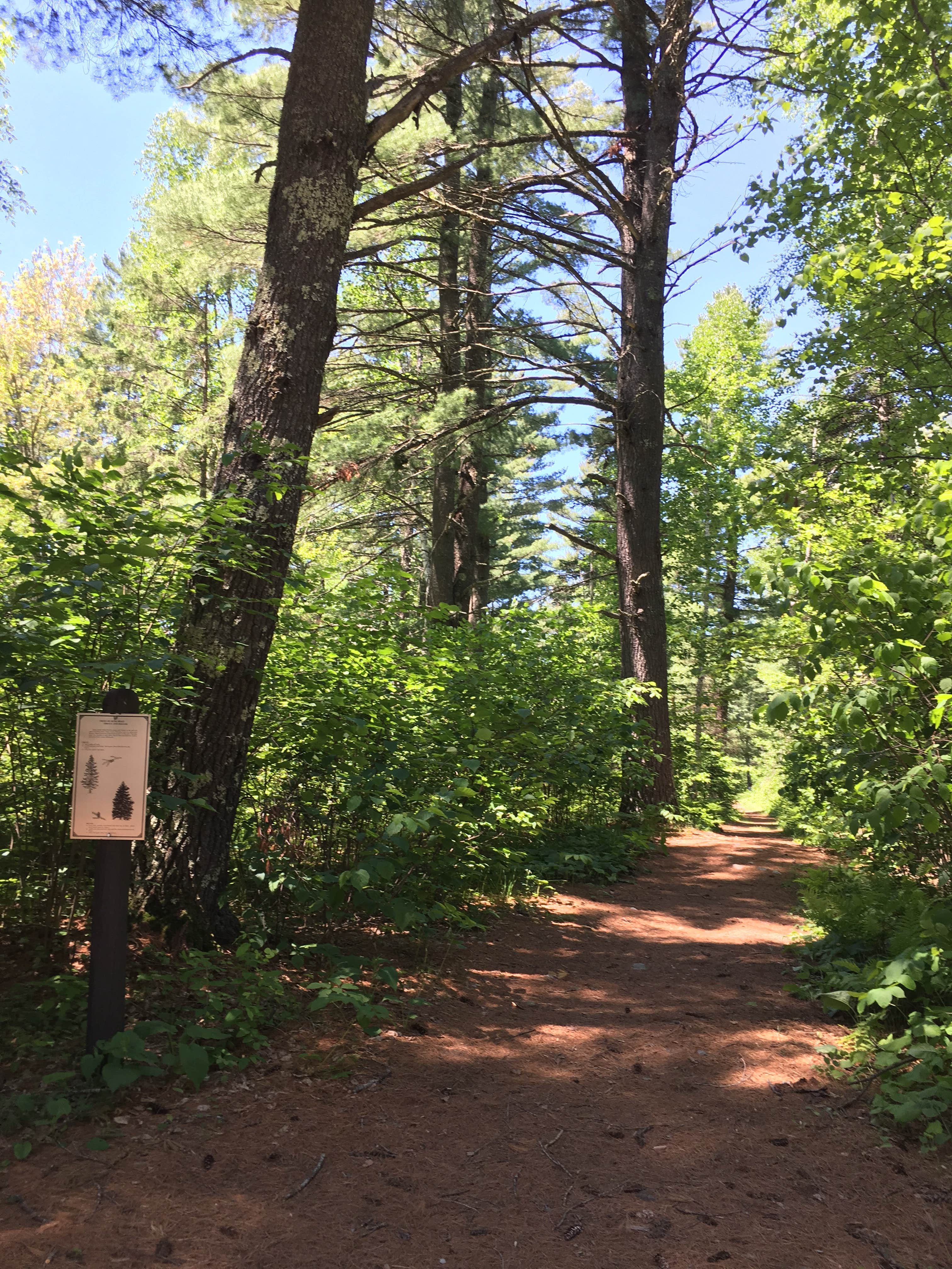 Camper-submitted photo at Bear Head Lake State Park Campground near Superior National Forest