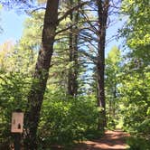 Review photo of Bear Head Lake State Park Campground by Janet R., July 7, 2018