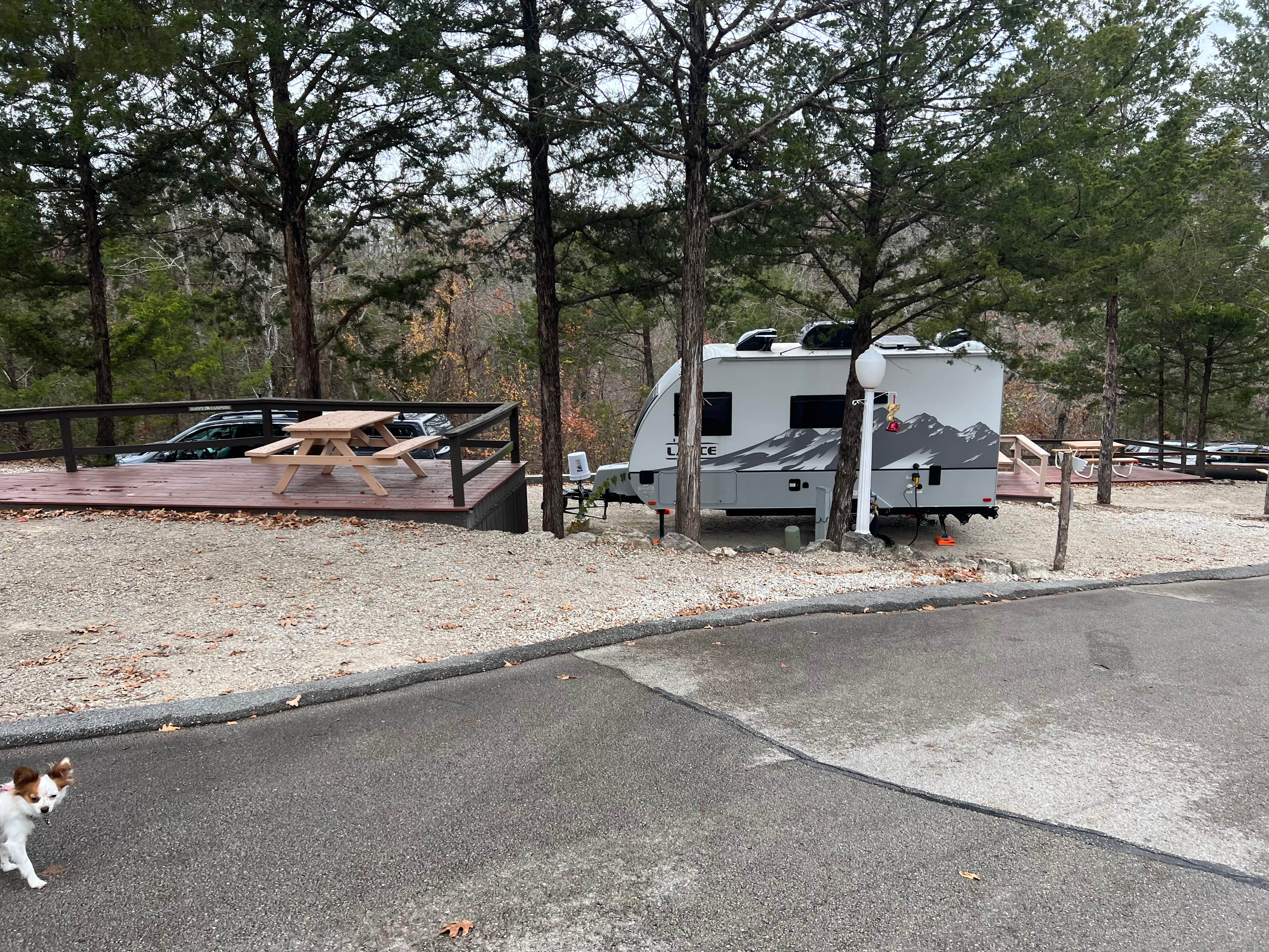 Camper-submitted photo at Branson Shenanigans RV Park near Highlandville, MO