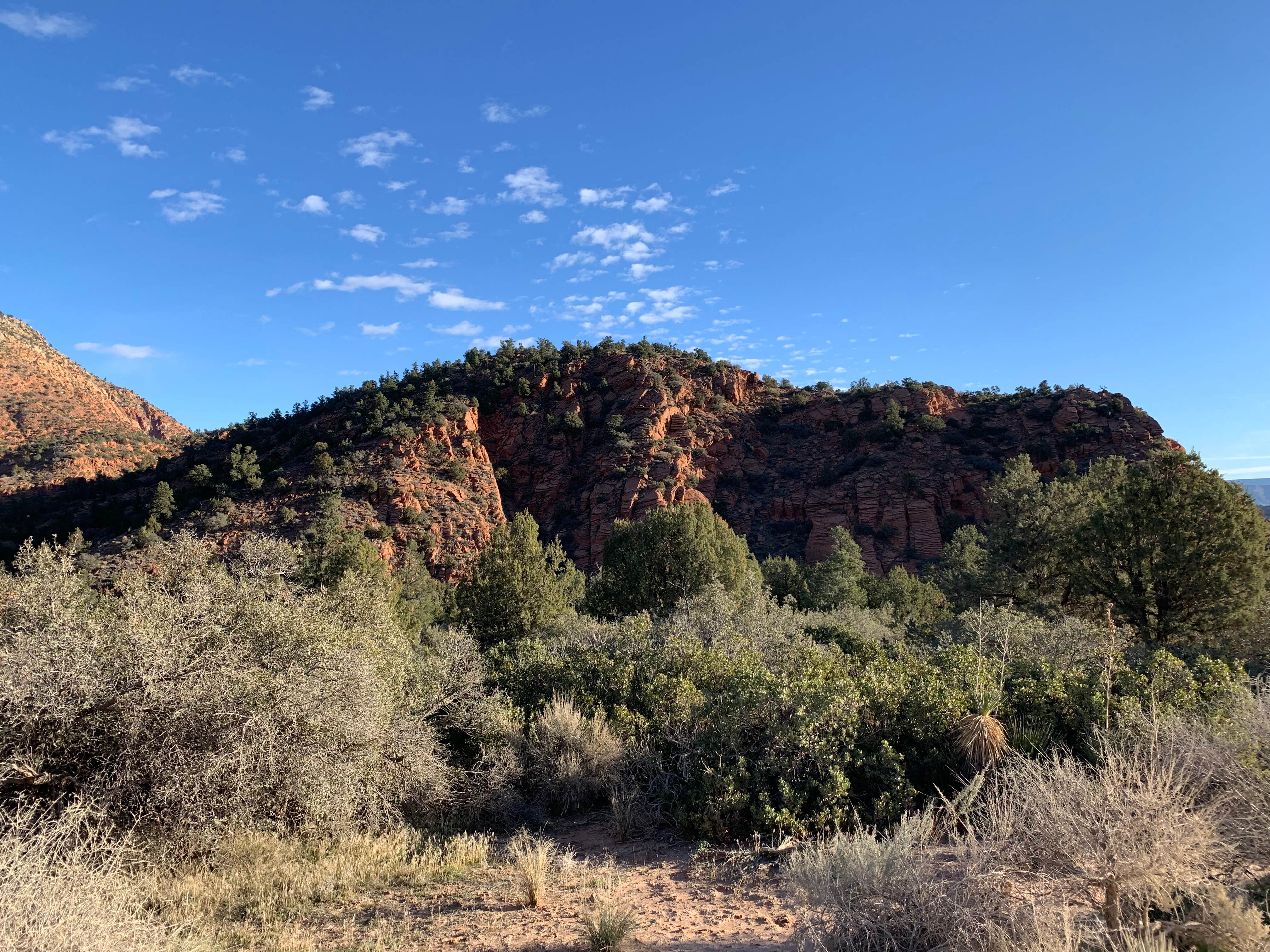 Camper submitted image from Leeds Canyon Dispersed 12-13 Dixie NF - 1