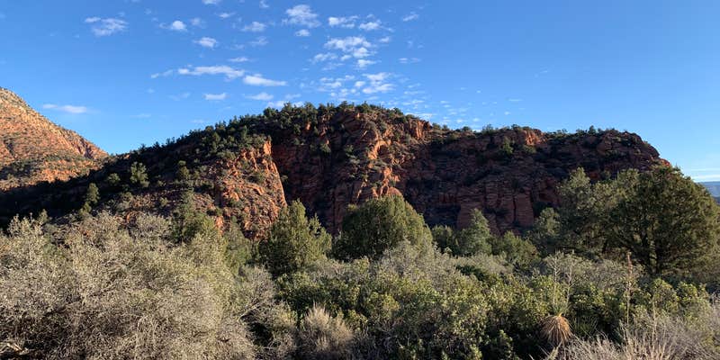 Camper submitted image from Leeds Canyon Dispersed 12-13 Dixie NF