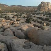 Review photo of Joshua Tree South - BLM Dispersed by Suzie C., July 7, 2018