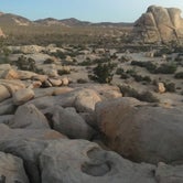Review photo of Joshua Tree South - BLM Dispersed by Suzie C., July 7, 2018