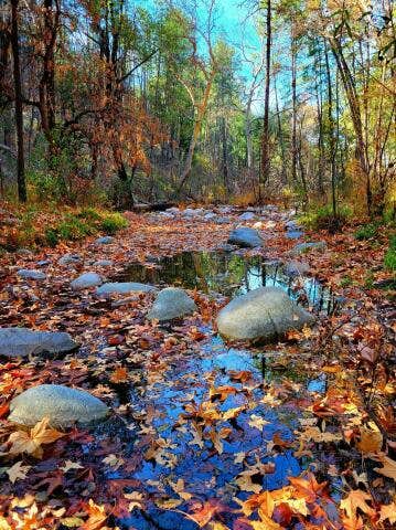 Camper submitted image from Reynolds Creek Dispersed - 5