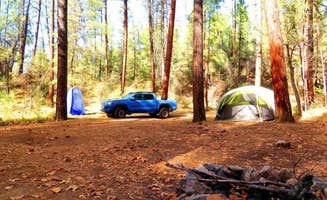 Ithinkimasofa's photo of a dispersed camping area at Reynolds Creek Dispersed near Young, AZ