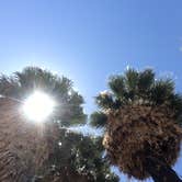 Review photo of Joshua Tree South - BLM Dispersed by Suzie C., July 7, 2018