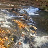 Review photo of David Crockett State Park Campground by Tia M., November 21, 2021