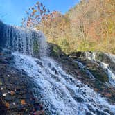 Review photo of David Crockett State Park Campground by Tia M., November 21, 2021