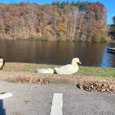 Review photo of David Crockett State Park Campground by Tia M., November 21, 2021