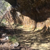 Review photo of Lost Maples State Natural Area by Suzie C., July 7, 2018
