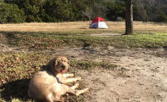 Suzie C.'s photo of camping with pets at Lost Maples State Natural Area Campground near Telegraph, TX