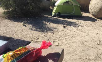 Suzie C.'s photo at Bastrop State Park Campground near Elgin, TX