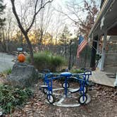 Review photo of Branson Shenanigans RV Park by Dan & Penny F., November 21, 2021