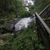 Review photo of Amicalola Falls State Park Camping by Charli R., November 21, 2021