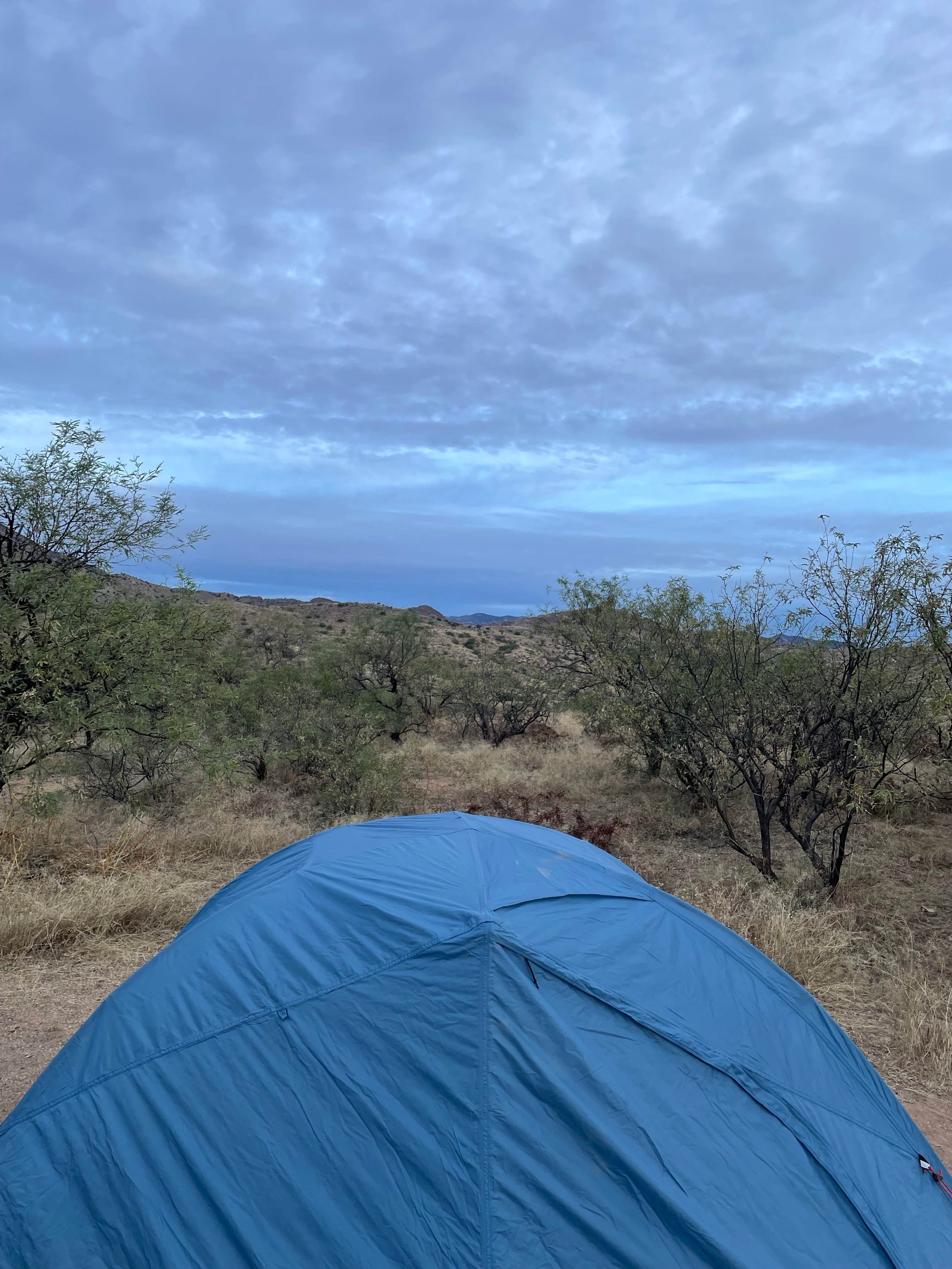 Kati H.'s photo at Redington Pass - Dispersed Camping near Saguaro National Park