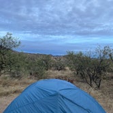 Review photo of Redington Pass - Dispersed Camping by Kati H., November 22, 2021
