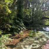 Review photo of Rainbow Springs State Park Campground by Lindsey H., November 22, 2021