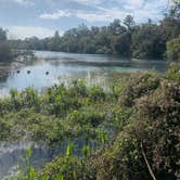 Review photo of Rainbow Springs State Park Campground by Lindsey H., November 22, 2021