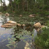 Review photo of Fenske Lake Campground by Janet R., July 7, 2018