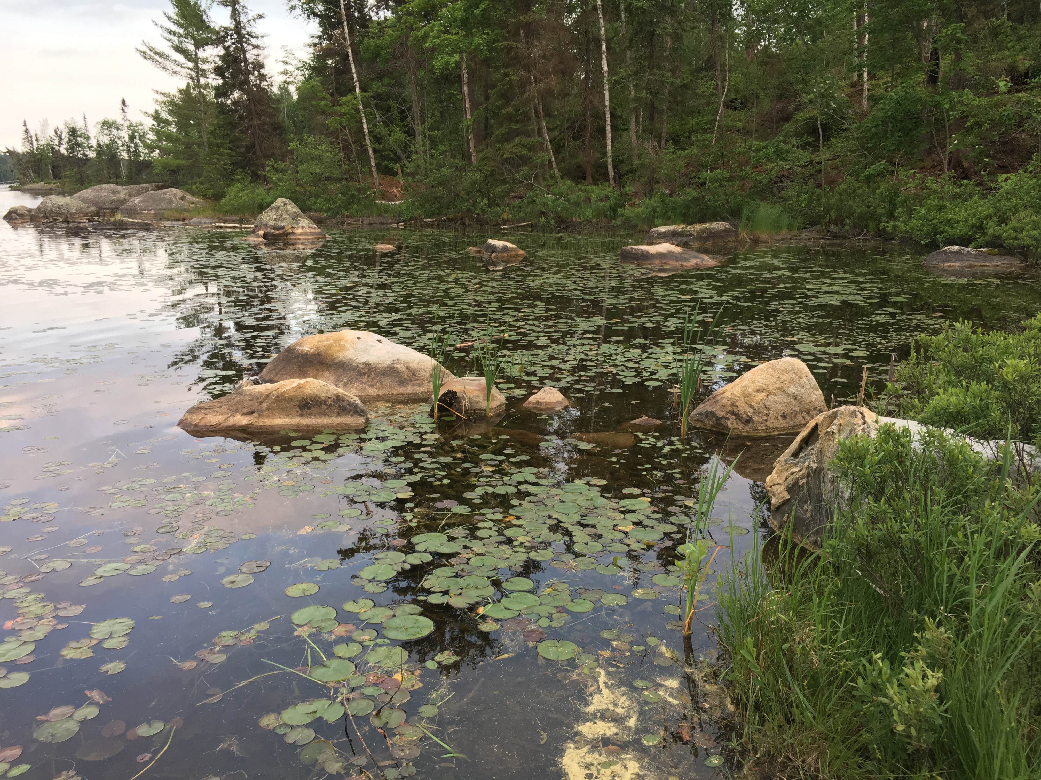 Camper submitted image from Fenske Lake Campground - 5