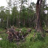 Review photo of Fenske Lake Campground by Janet R., July 7, 2018