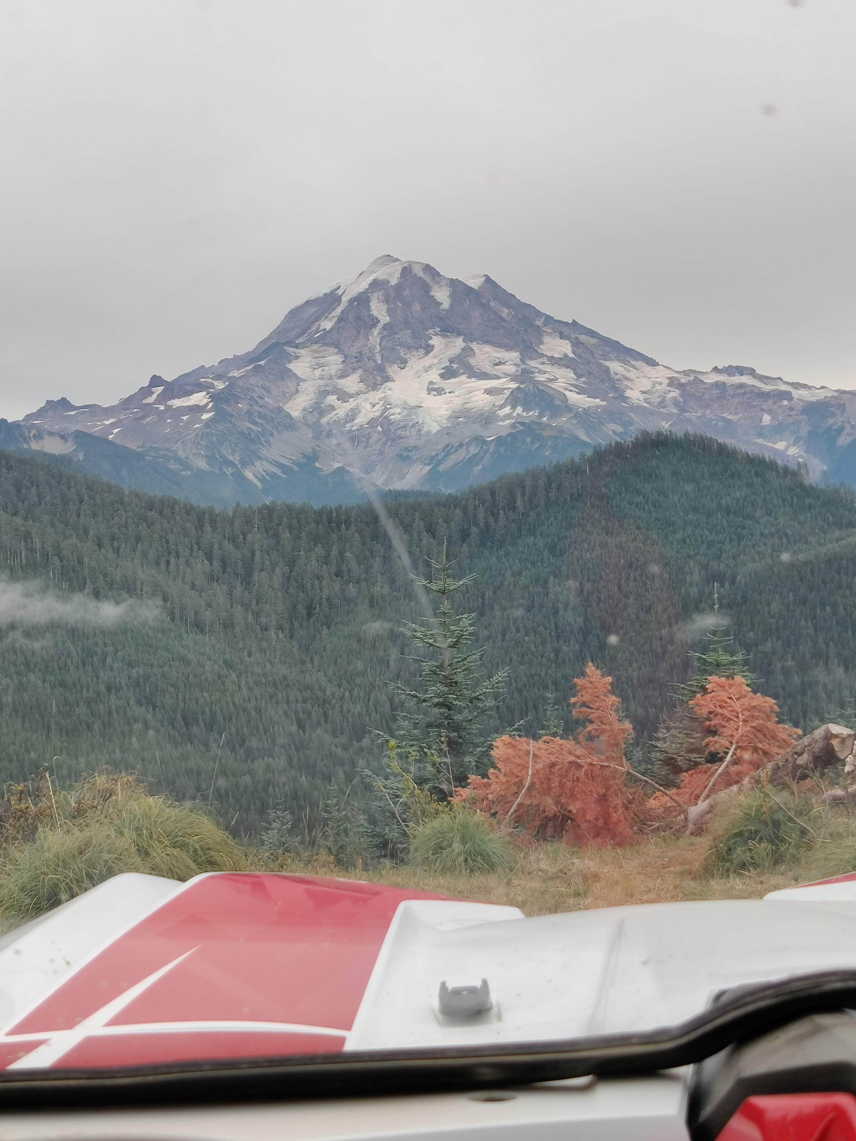 Camping near Camp Lakeview: Evans Creek Campground, Mount Rainier National Park, Washington