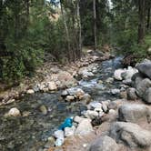 Review photo of Twenty-Five Mile Creek State Park by Sonia B., July 5, 2018