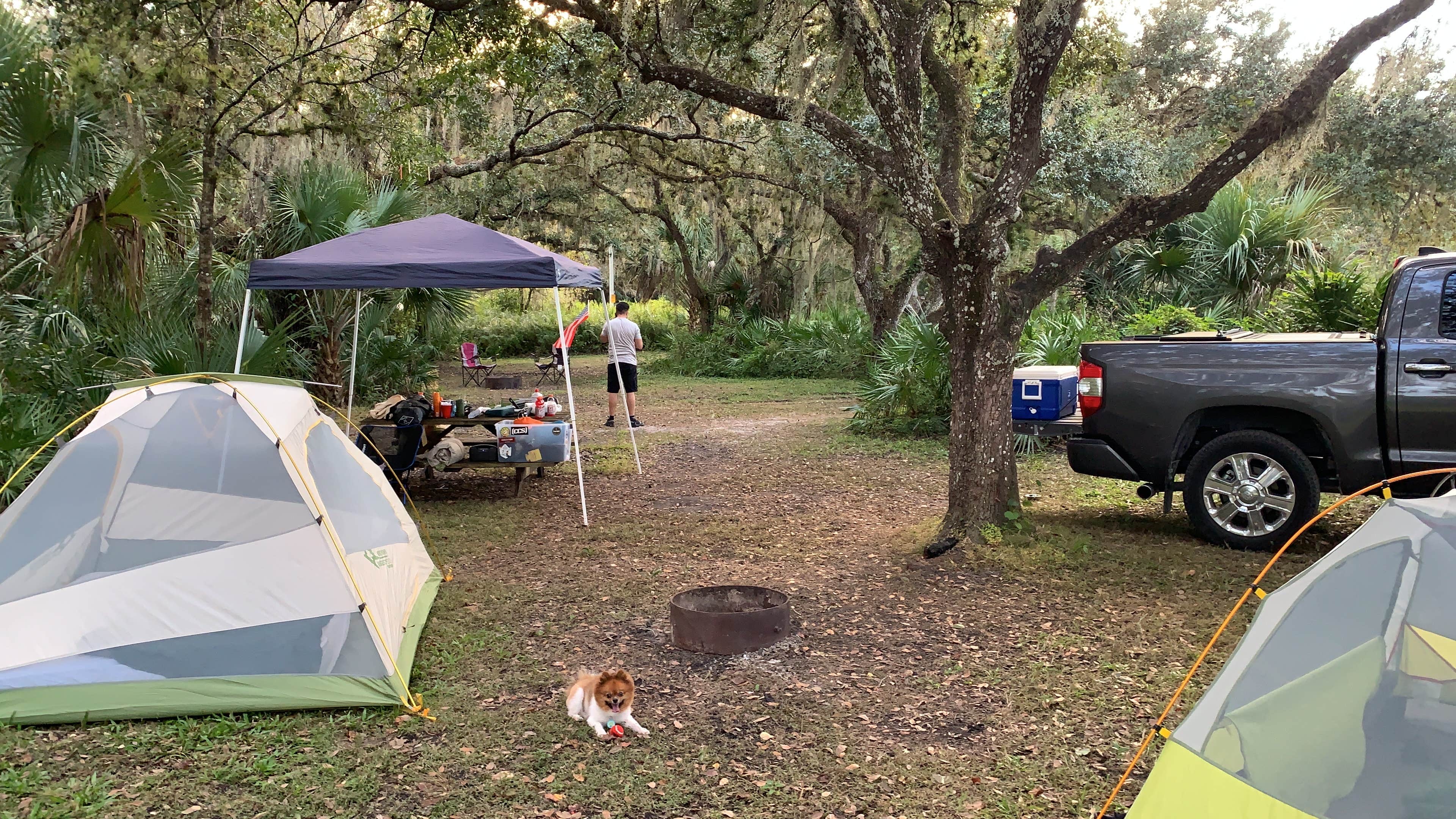 Nick C.'s photo of camping with pets at Fisheating Creek Campground near Lake Okeechobee