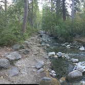 Review photo of Twenty-Five Mile Creek State Park by Sonia B., July 5, 2018