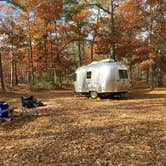 Review photo of Bass River State Forest by Elke P., November 22, 2021