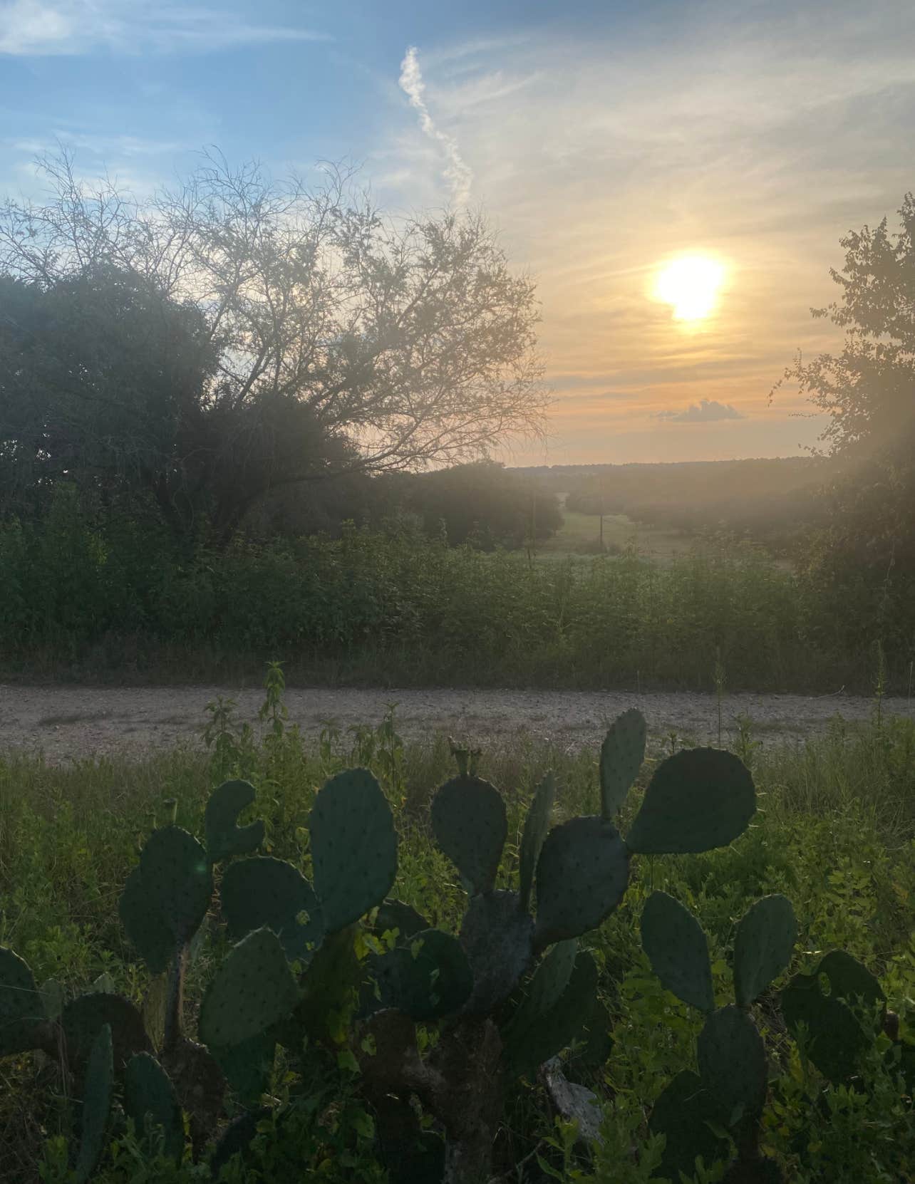 Camper-submitted photo at Rocky Hill Ranch near Smithville, TX