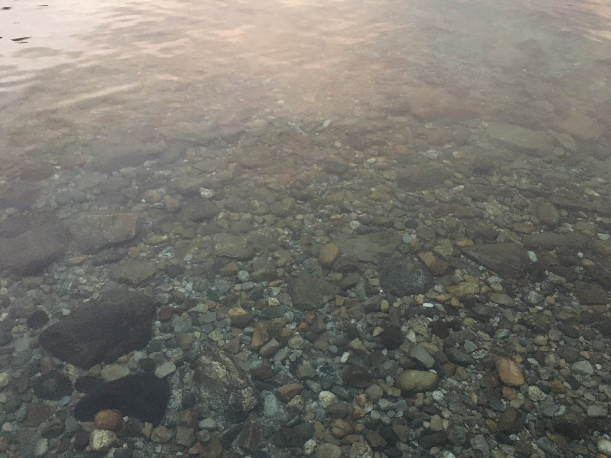 Camper-submitted photo at Twenty-Five Mile Creek State Park near Chelan, WA