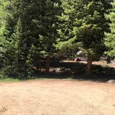 Review photo of Guanella Pass by Hayley K., November 22, 2021