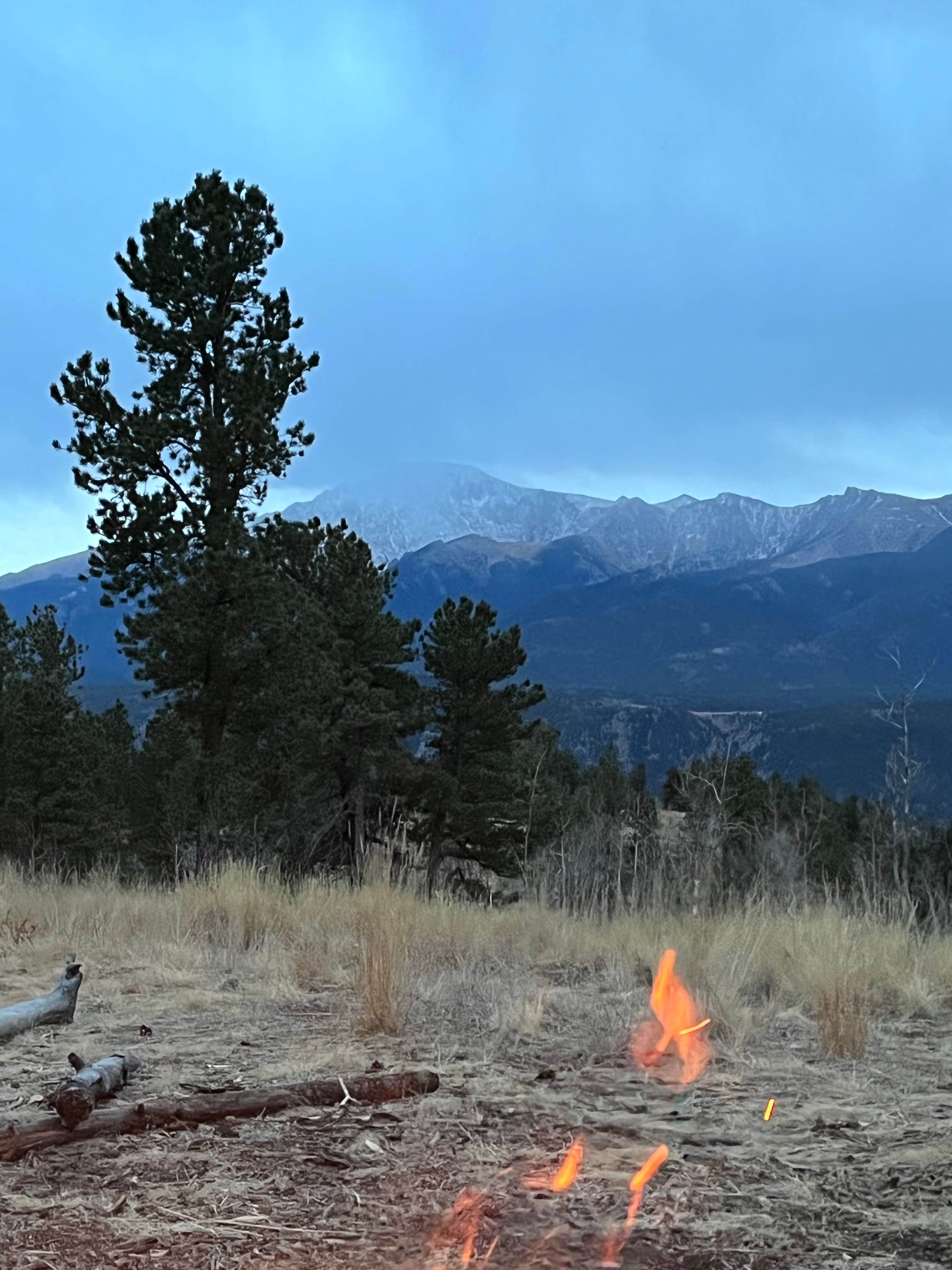 Camper submitted image from Rampart Range Road - Dispersed Camping - 2