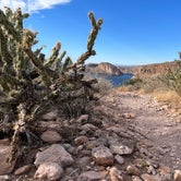 Review photo of Tonto National Forest Tortilla Campground by judy E., November 21, 2021