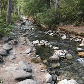 Review photo of Twenty-Five Mile Creek State Park by Sonia B., July 5, 2018