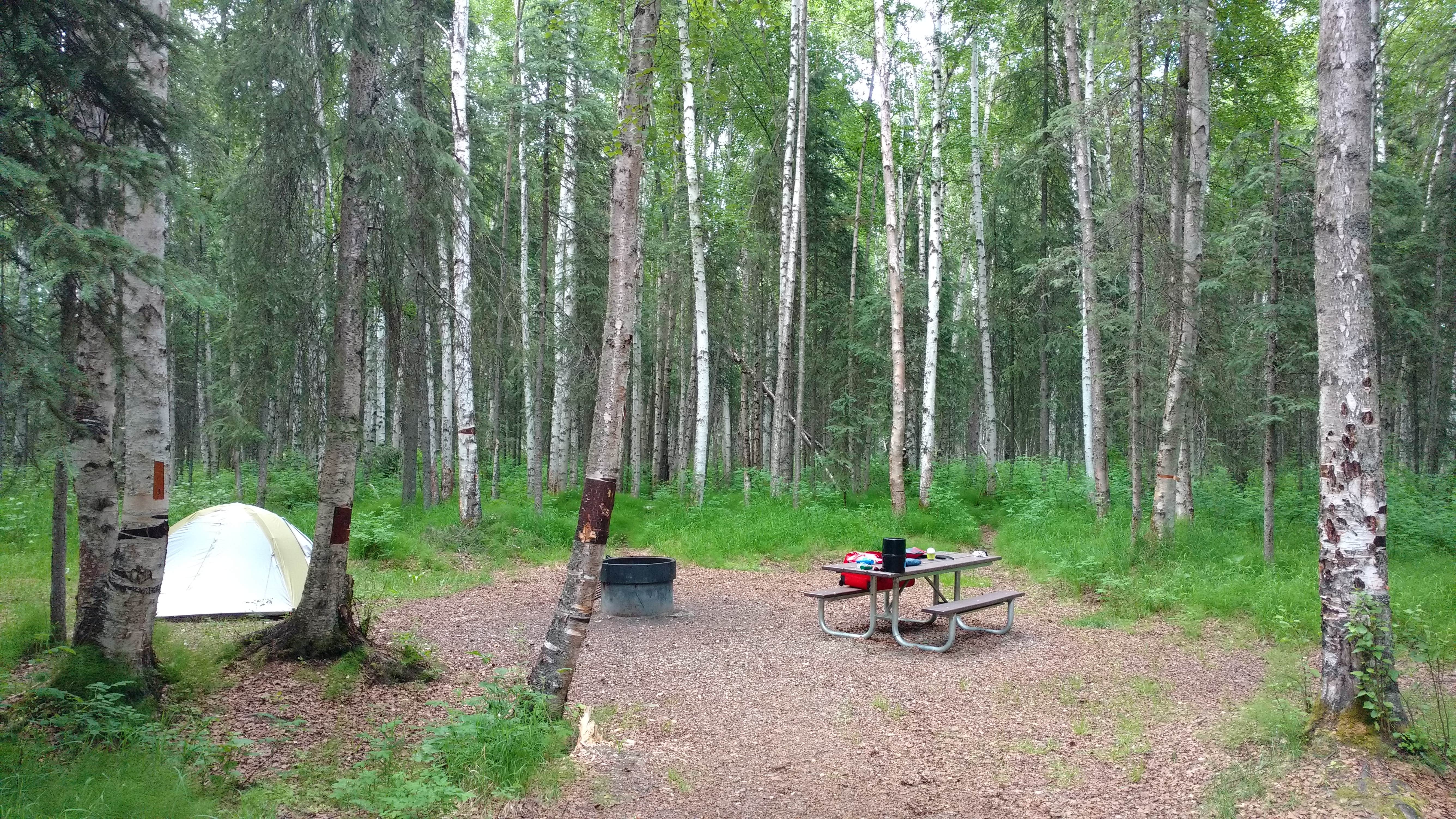 Camper-submitted photo at River Park Campground near Eielson AFB, AK
