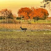 Review photo of Thousand Trails Lake Tawakoni by Mary H., November 22, 2021