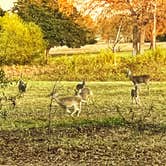 Review photo of Thousand Trails Lake Tawakoni by Mary H., November 22, 2021