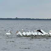 Review photo of Thousand Trails Lake Tawakoni by Mary H., November 22, 2021