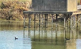 Mary H.'s photo of glamping accommodations at Thousand Trails Lake Tawakoni near Wilmer, TX