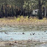 Review photo of Thousand Trails Lake Tawakoni by Mary H., November 22, 2021