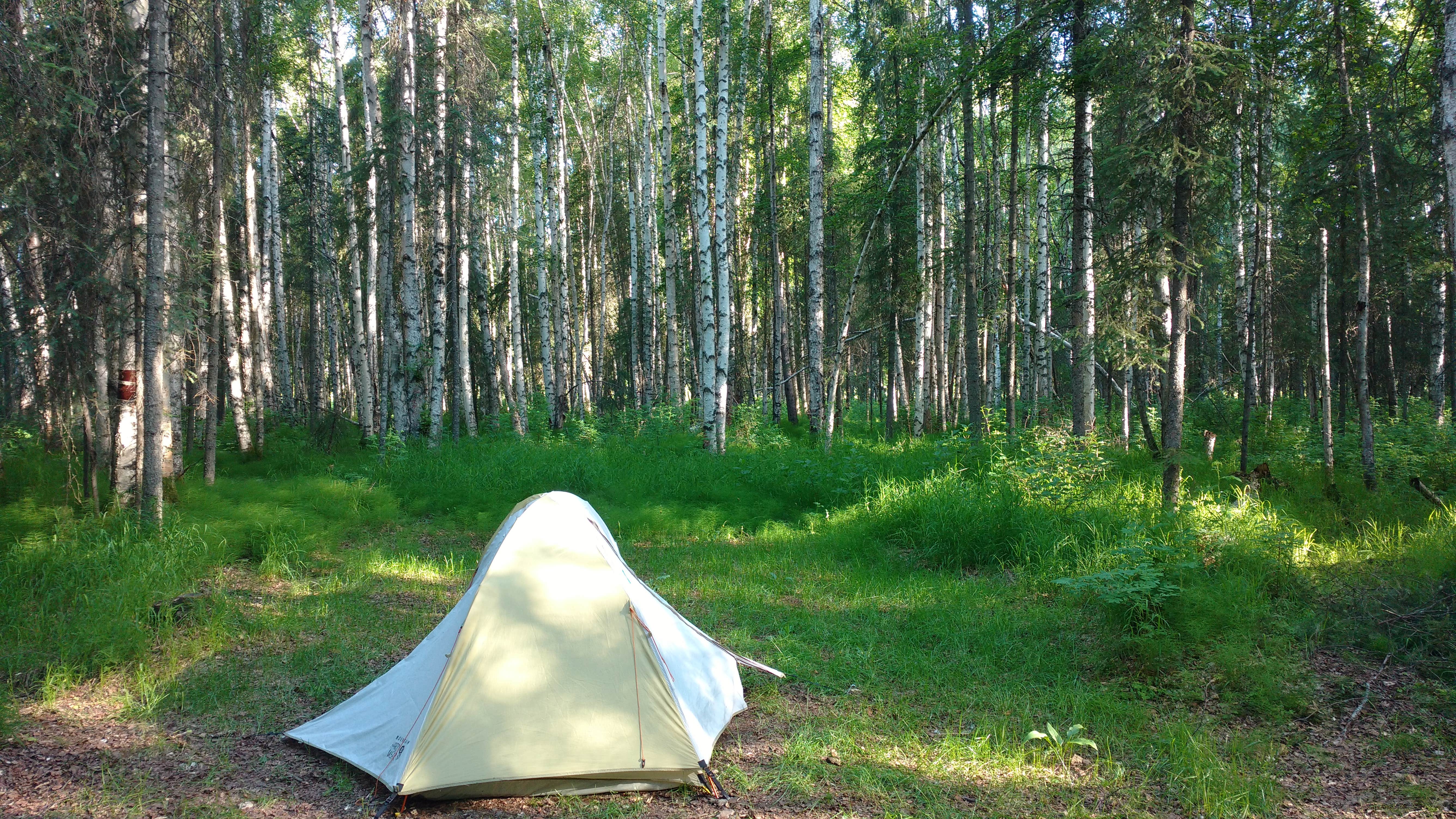 Camper-submitted photo at River Park Campground near Eielson AFB, AK