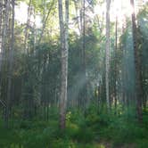 Review photo of River Park Campground by Dave G., July 7, 2018