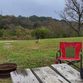 Review photo of Guadalupe River RV Park and Campgrounds by Denise V., November 23, 2021