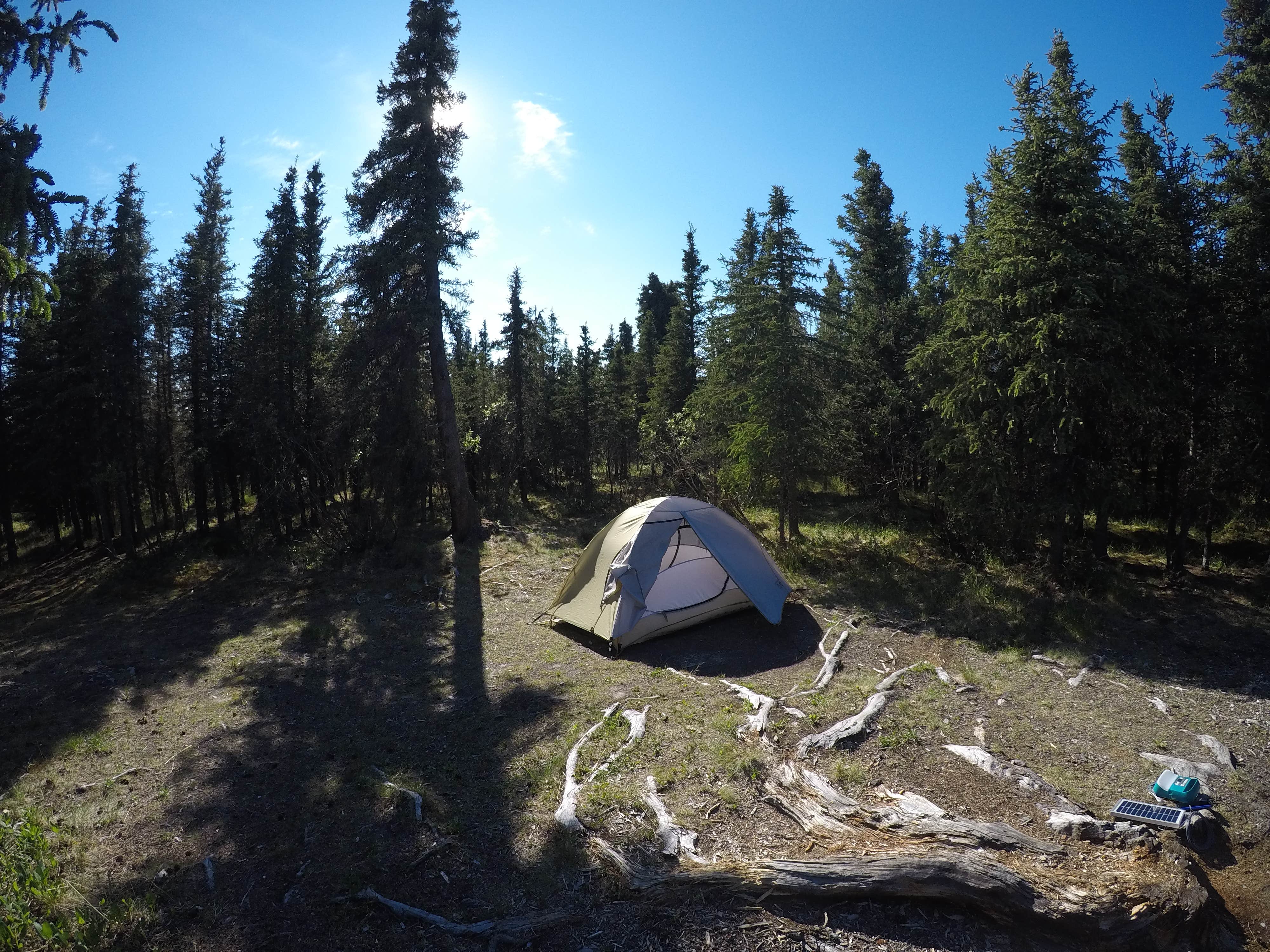 Camper submitted image from Savage River Campground — Denali National Park - 5